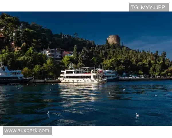 全球化战略新篇章：彩神Vll土耳其办事处启动与欧亚市场新布局