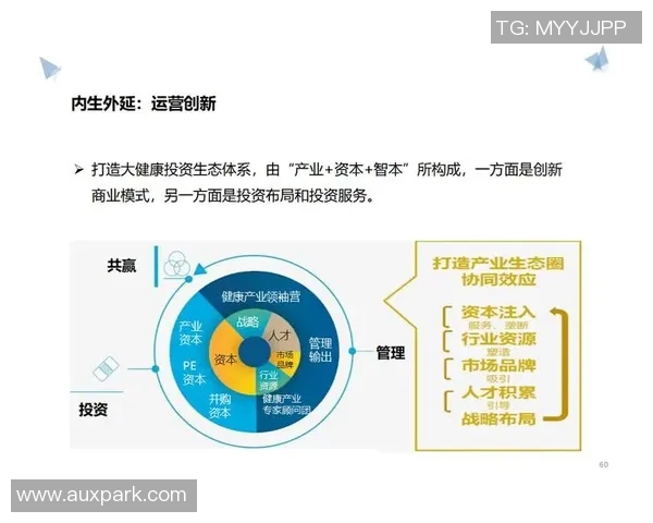 彩神Vll的商业战略探索：多元化业务协同与产业生态系统的构建与发展