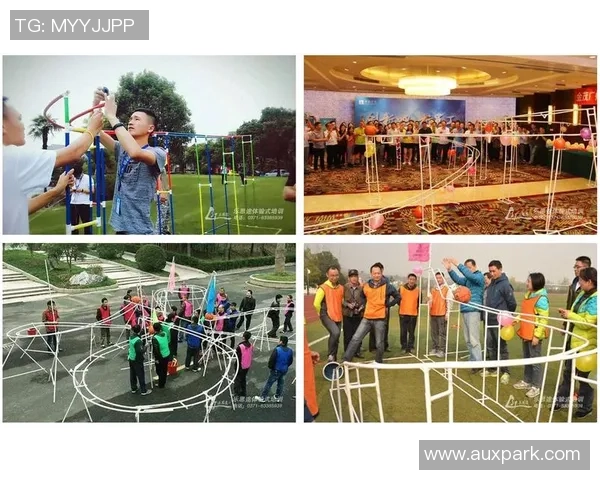 未来展望：冰球突破系列产品创新与市场拓展的战略思考与愿景